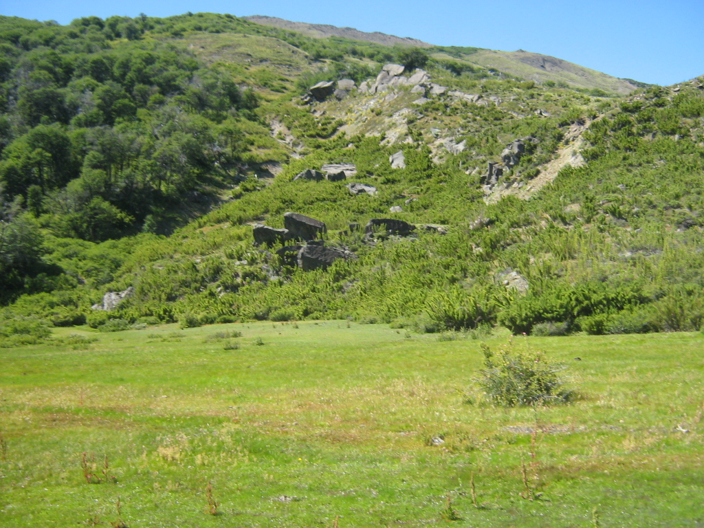 Foto 3