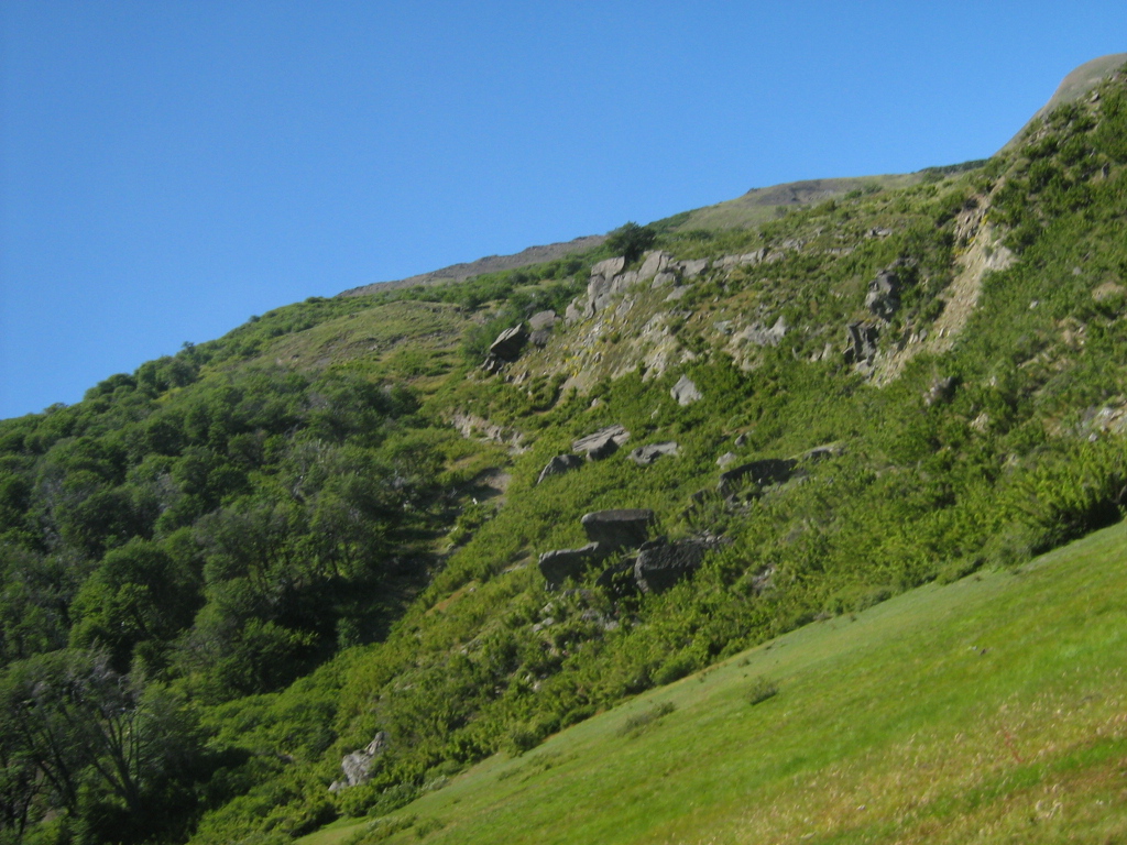 Foto 6