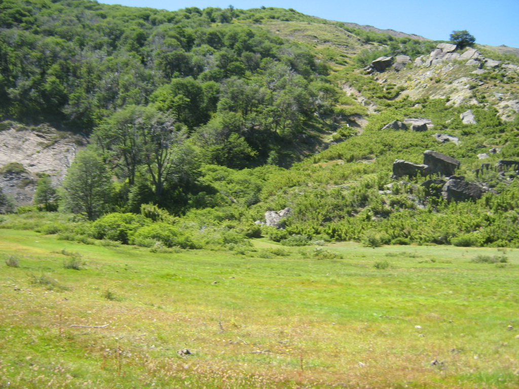 Foto 10