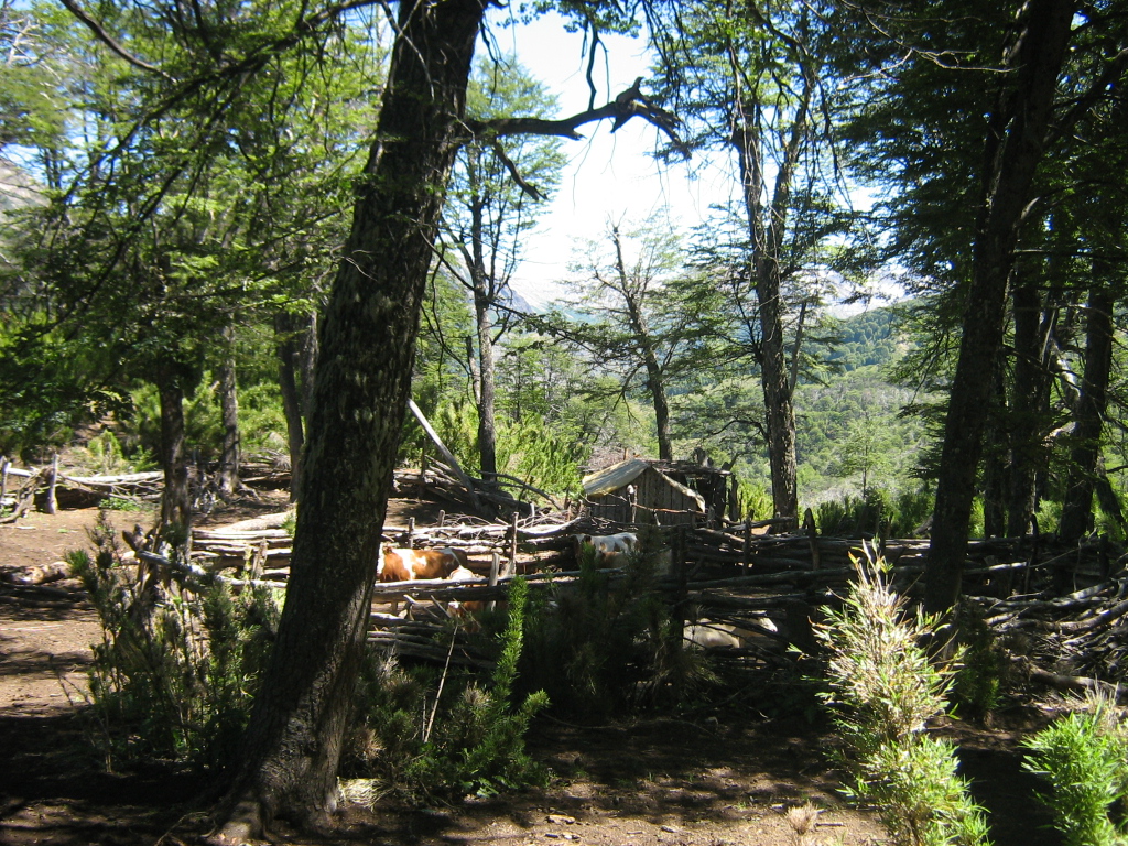 Foto 15