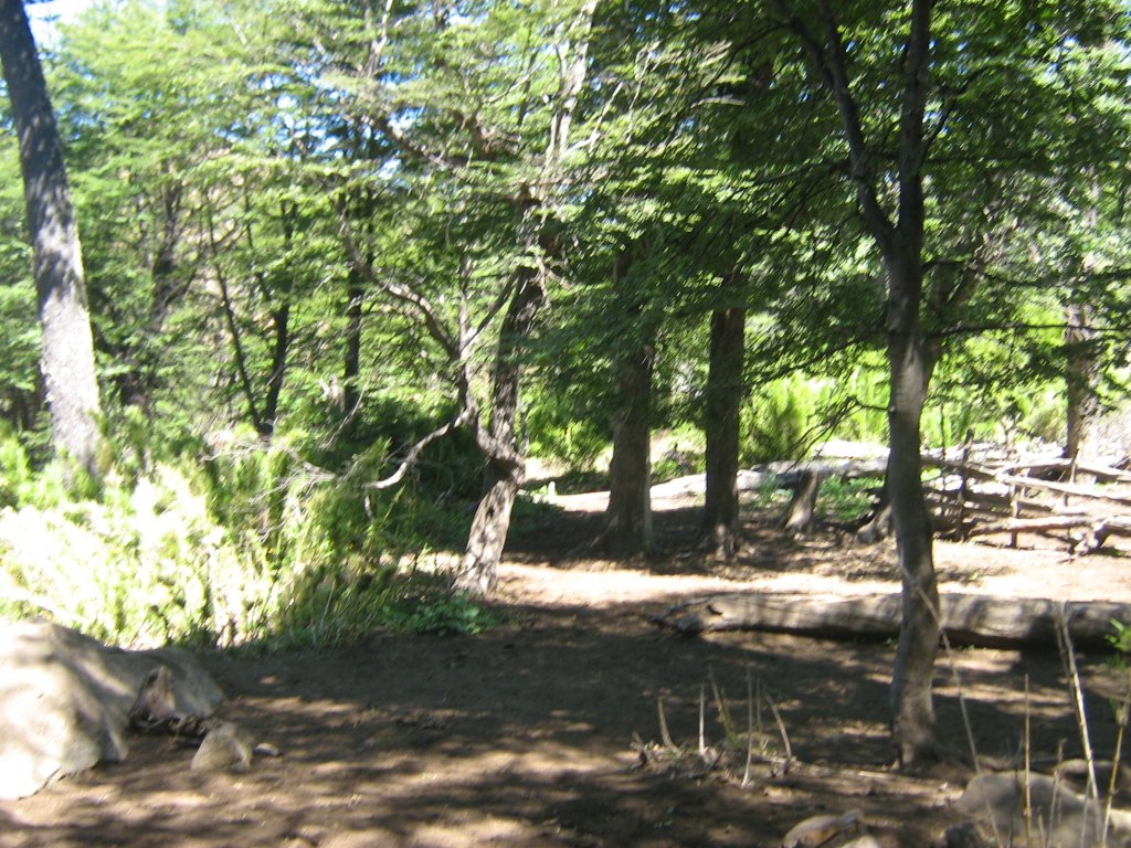 Foto 16