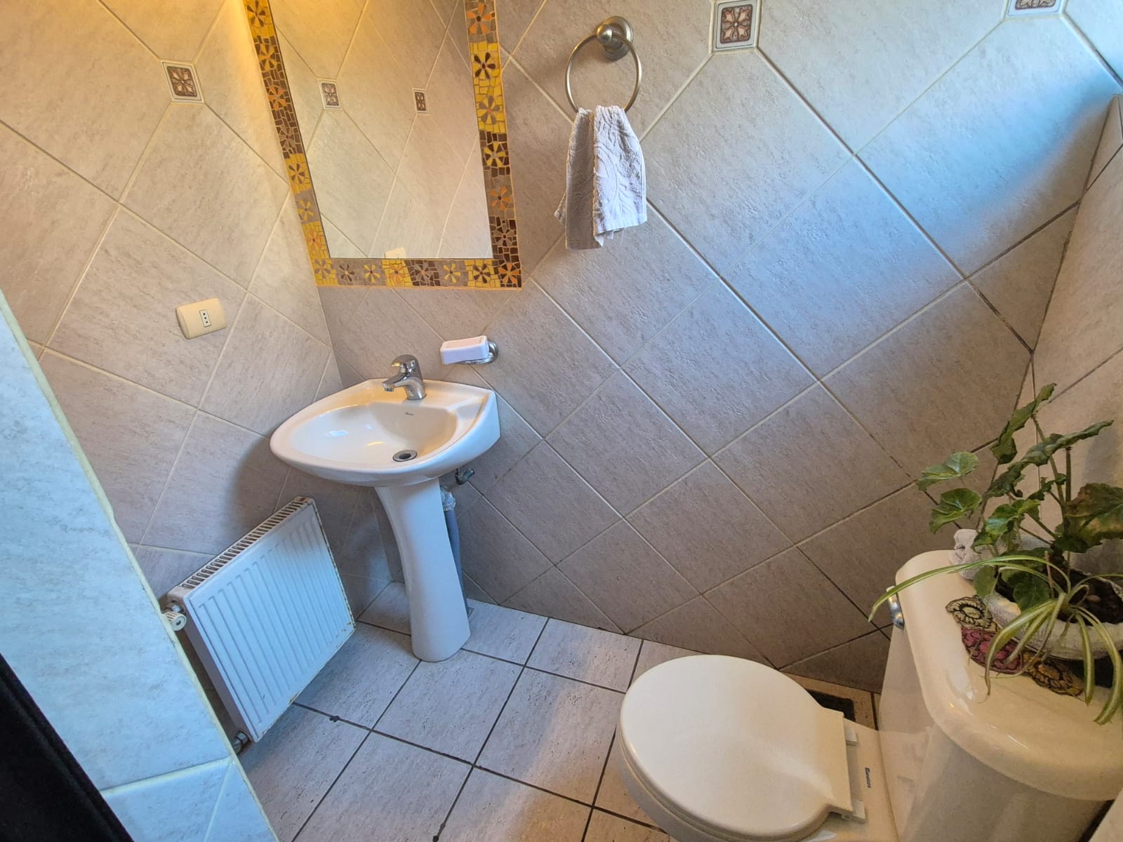 Foto 8